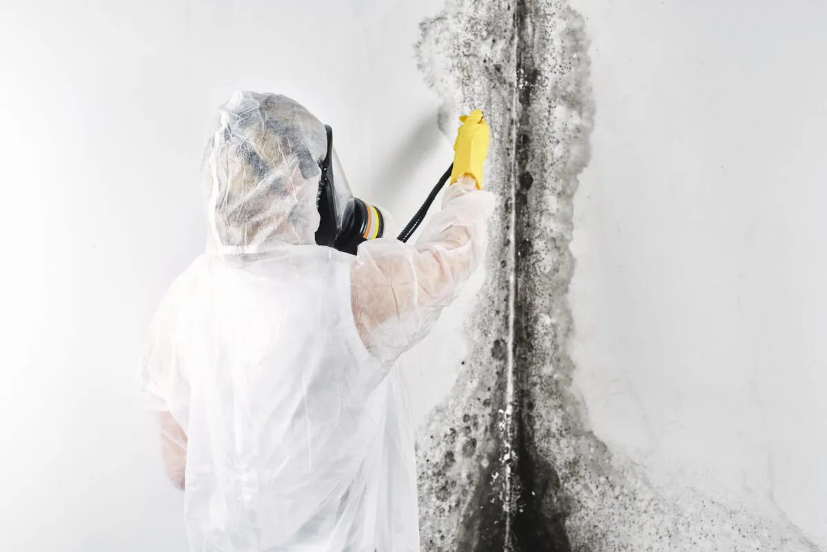 Removing a mold infestation larger than a few square feet is a job best left to the professionals. (Dreamstime/TNS)