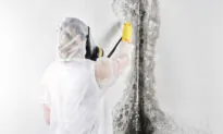 What Should I Do About Mold Removal?