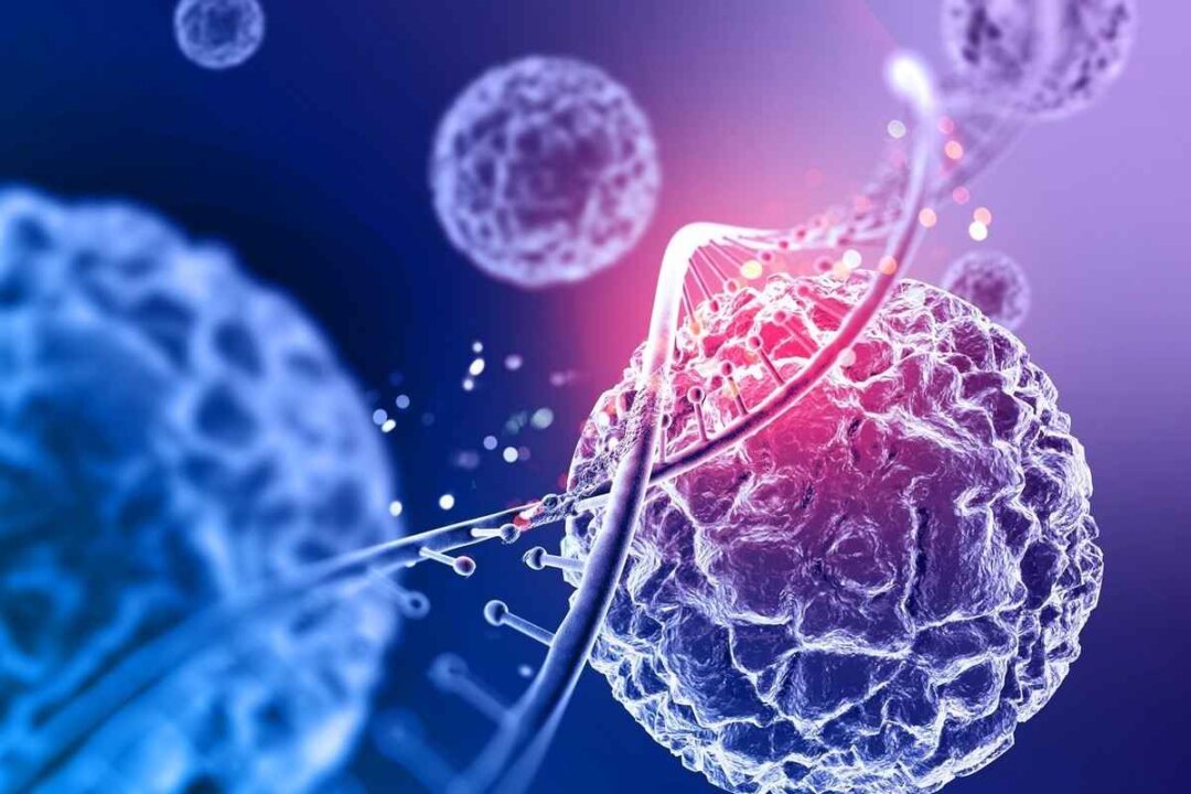 Approximately one-third of cancer deaths are caused by factors such as smoking, high body mass index, alcohol consumption, low intake of fruits and vegetables, and lack of physical activity. Many cancers can be cured if detected early and treated effectively. (Freepik)