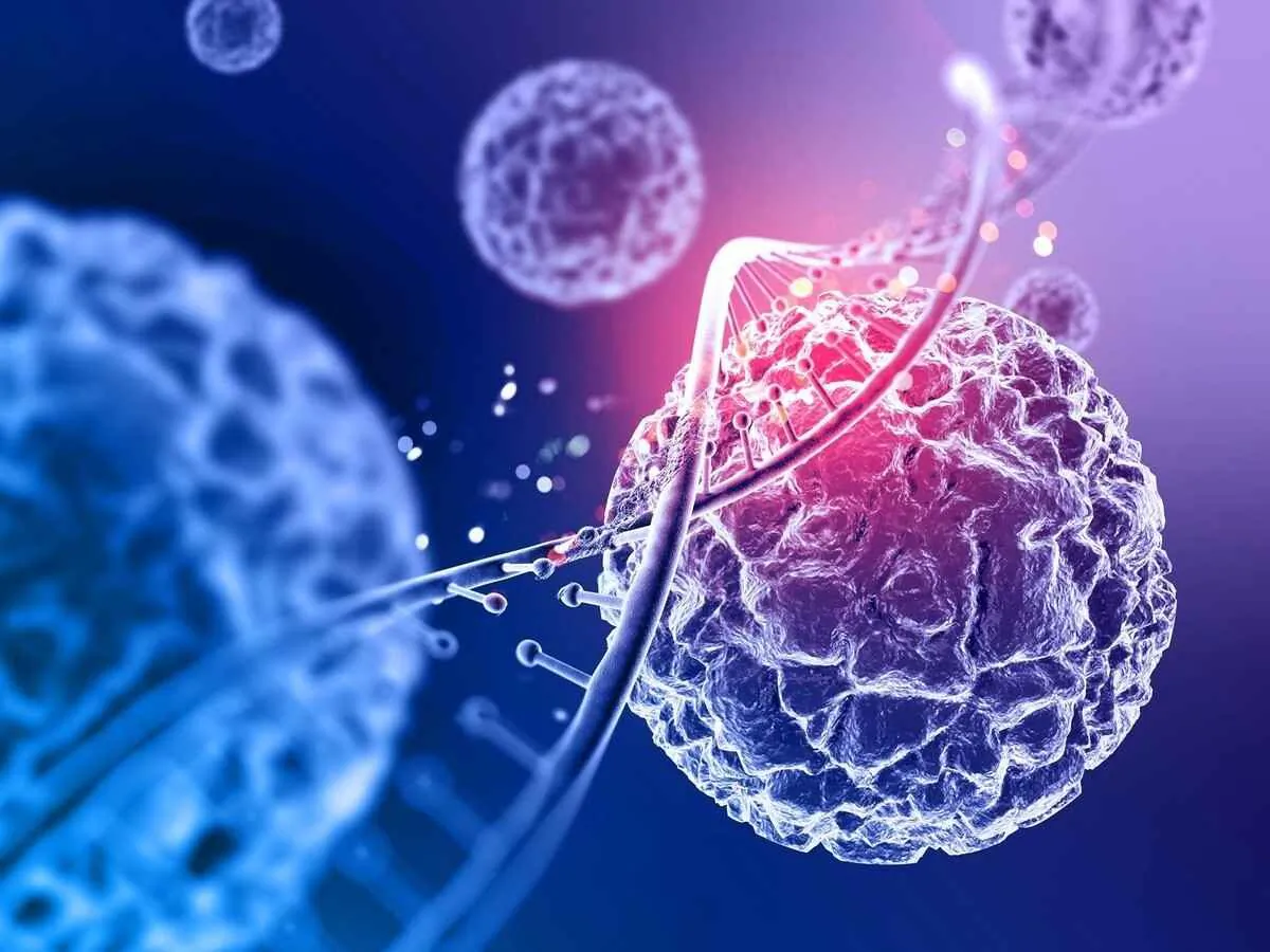 Approximately one-third of cancer deaths are caused by factors such as smoking, high body mass index, alcohol consumption, low intake of fruits and vegetables, and lack of physical activity. Many cancers can be cured if detected early and treated effectively. (Freepik)