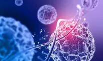 Higher Cancer Risk Found in Post-Boomer Generations, American Cancer Society Study Reveals
