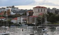 Vet Saves Woman Attacked by Shark in Sydney Harbour