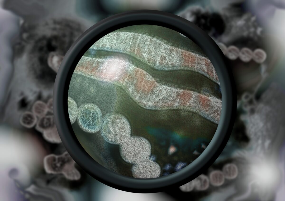 NextImg:Bird Flu Scare Narrative Ramps Up