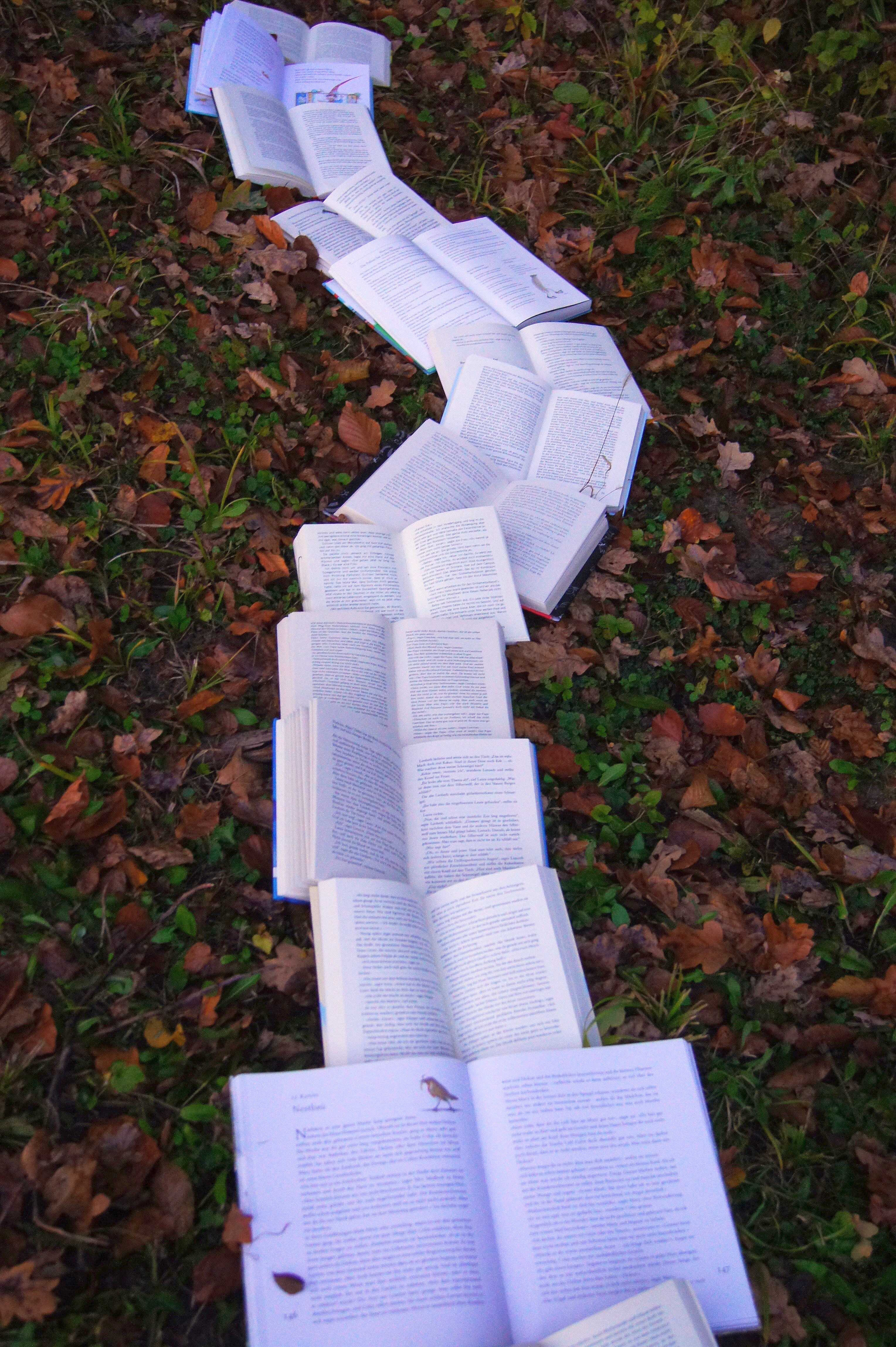 A Rebel's Reading List - Vimarsana News