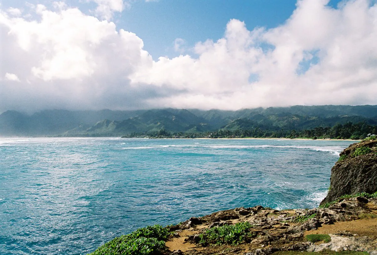 Hawaii Shark Encounters was the first to offer tours off the North Shore in 2004. (Dreamstime/TNS)