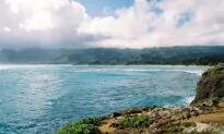 How You Can Go Shark Cage Diving Off Oahu’s North Shore