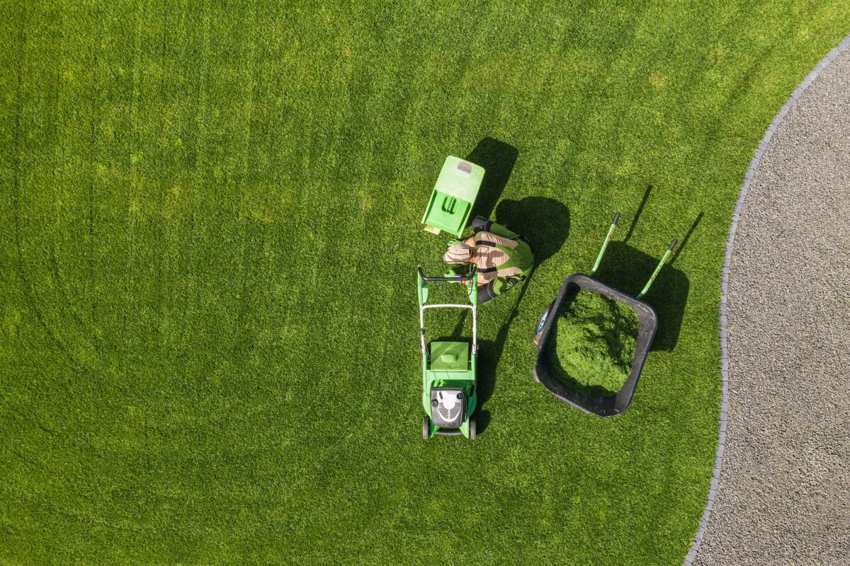 NextImg:What's the Best Way to Mow My Lawn?