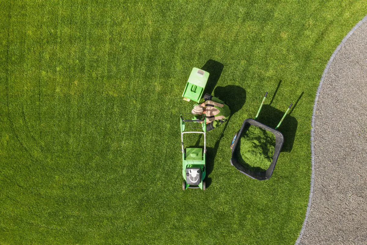 You'll get the best results with your lawn by tuning up your mower at the beginning of spring. (Dreamstime/TNS)