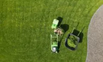 What’s the Best Way to Mow My Lawn?