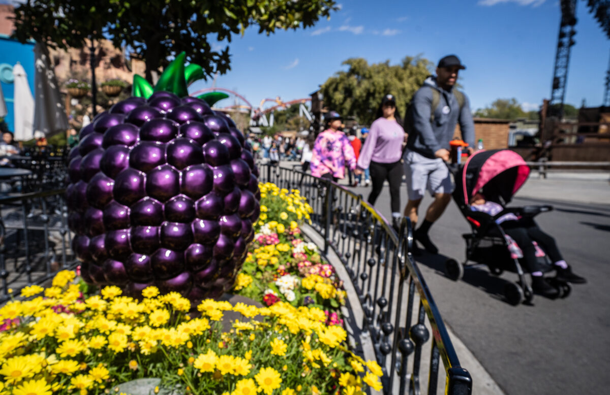 NextImg:National Boysenberry Day Celebrated at Knott's Berry Farm Annual Festival