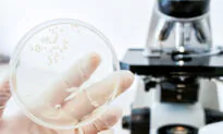 Candida: A Fungus We All Carry That Can Lead to Most Common Fungal Infections, Tips to Fight It