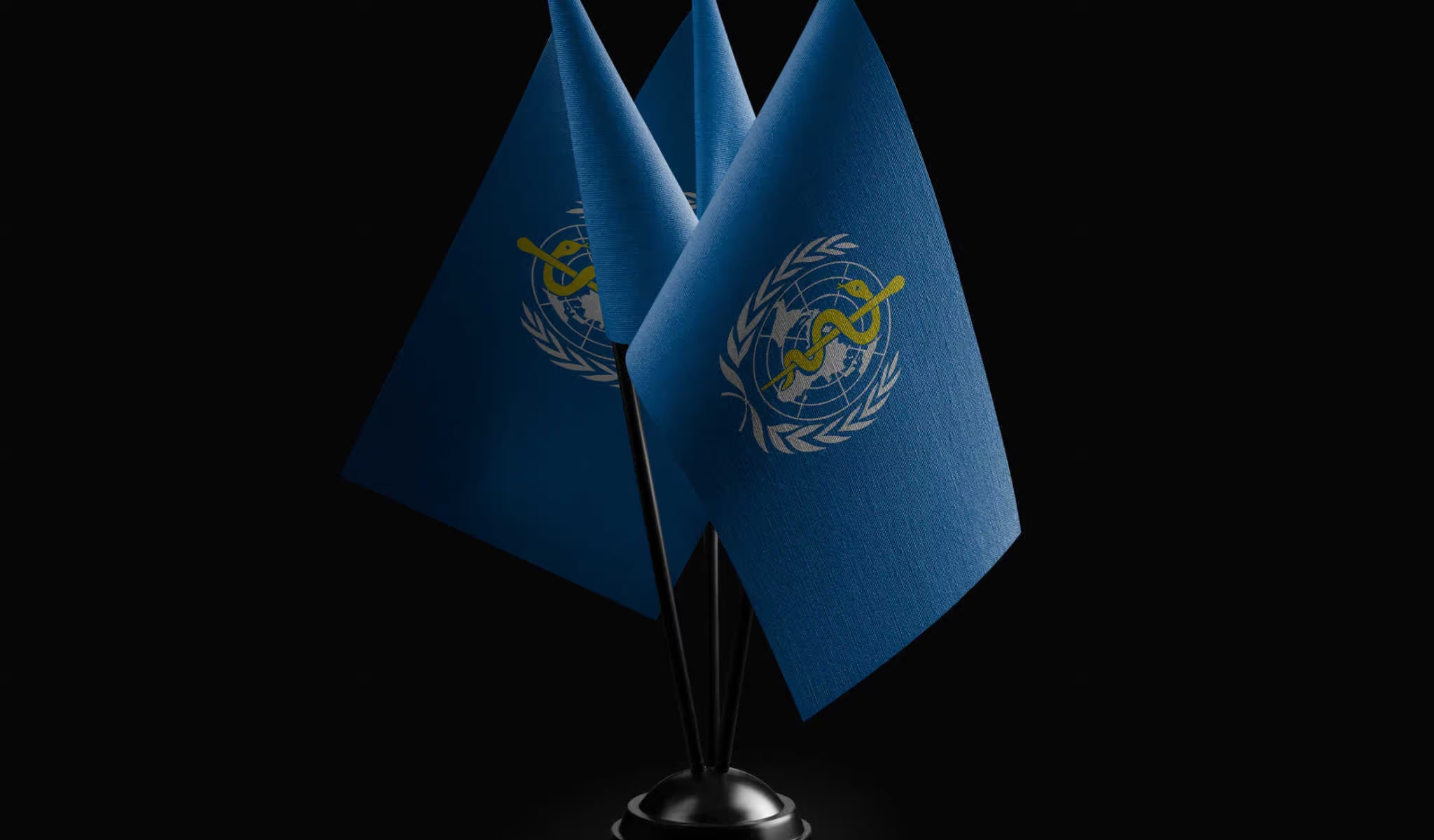 Why Legislators Should Reject the WHO's Proposals for Pandemics - Vimarsana News
