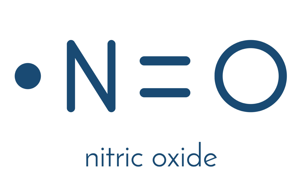 Nitric Oxide Loss: The Single Most Important Factor Impacting Cardiovascular Health