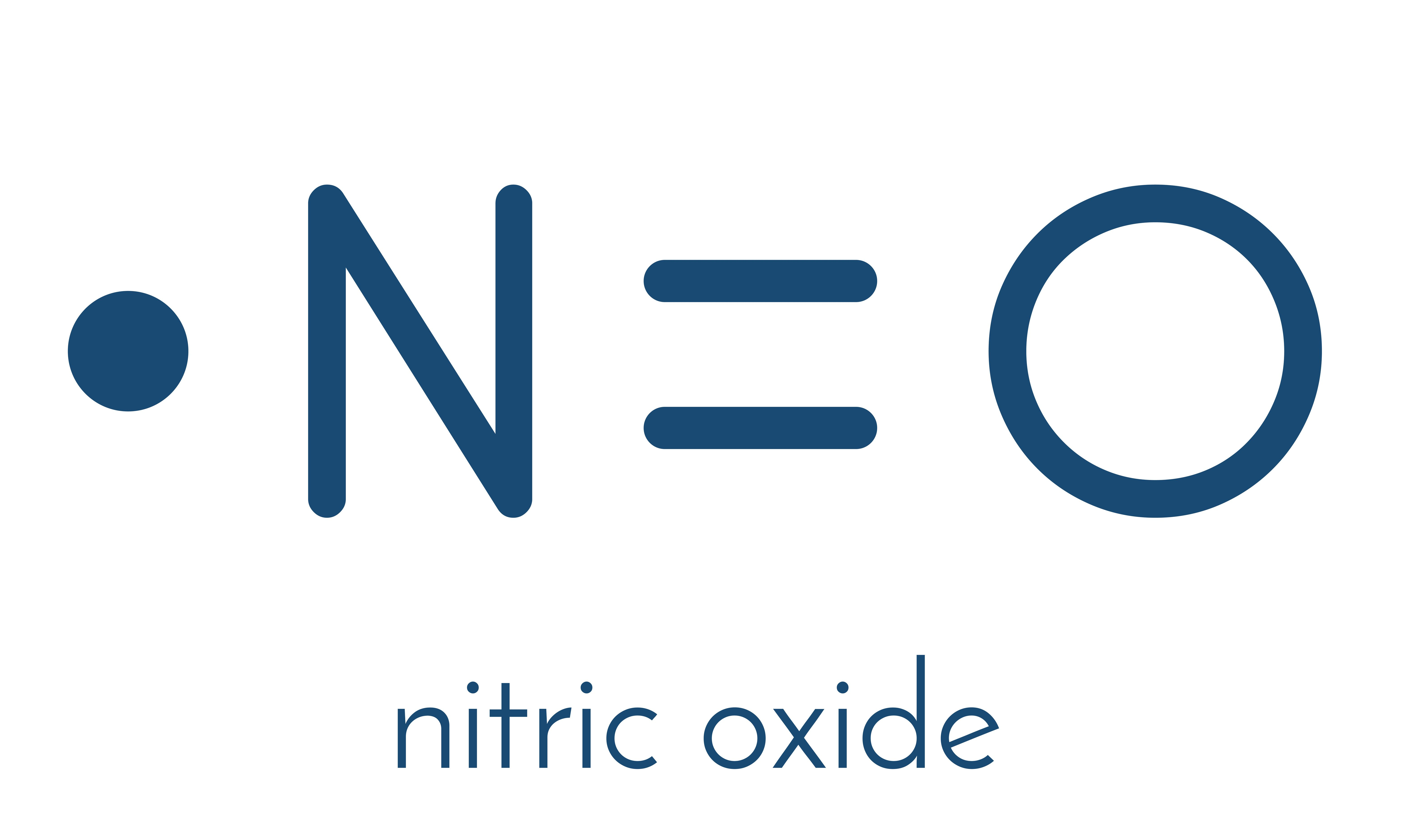 Nitric Oxide Loss: The Single Most Important Factor Impacting Cardiovascular Health - Vimarsana News