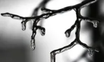 Thousands Without Power as Ontario Hit With Thunderstorms, Heavy Rains and Snow