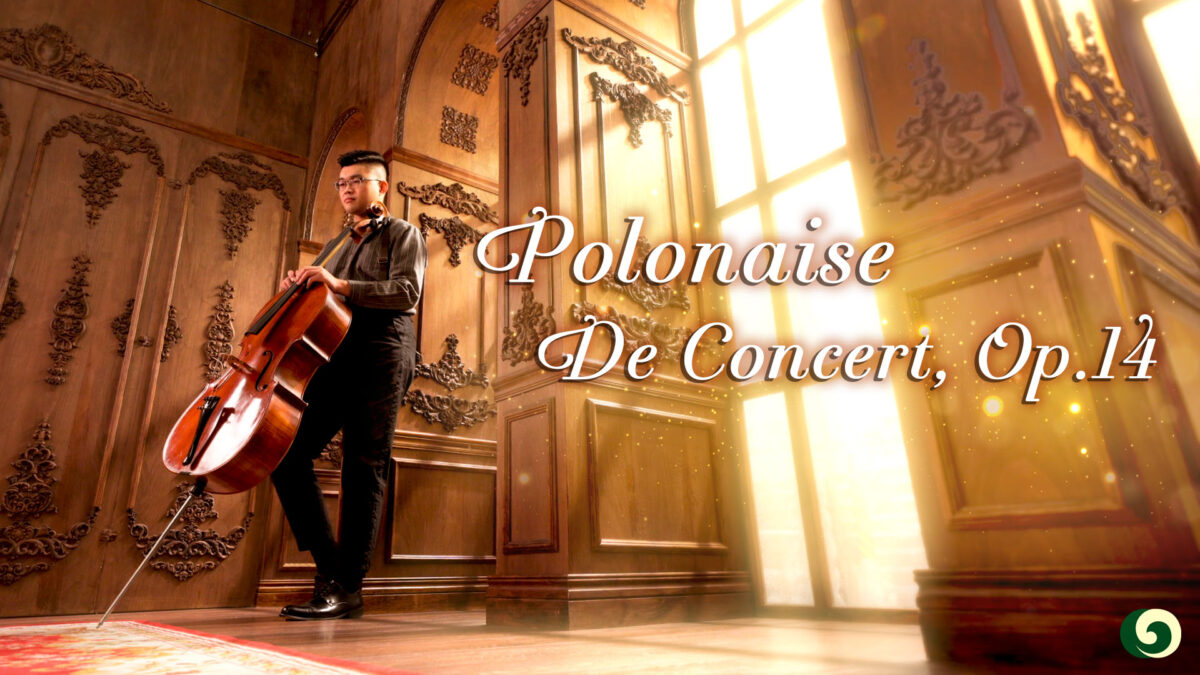 NextImg:Breathtakingly Beautiful Cello: Polonaise de Concert, Op.14 | Musical Moments