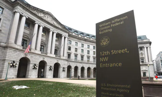 ​The Growing Tyranny of the Whack-a-Mole Regulatory State