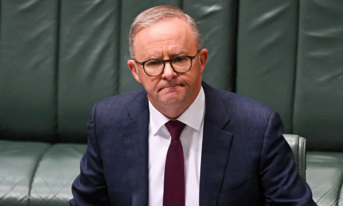 Australian Prime Minister Anthony Albanese reacts during Question Time at Parliament House in Canberra, Australia on March 30, 2023. (Martin Ollman/Getty Images)