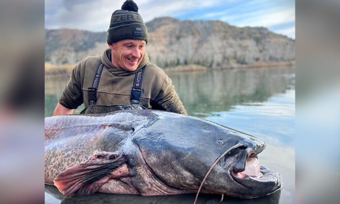 Fishermen beg to tackle invasion of monstrous catfish conquering