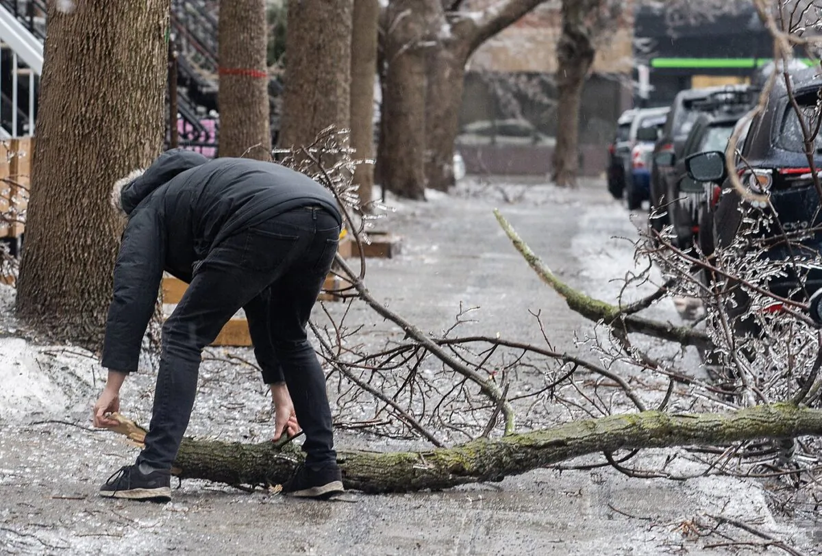 A man attempts to remove a fallen tree branch as it blocks a sidewalk following an accumulation of freezing rain in Montreal, on April 5, 2023. (The Canadian Press/Graham Hughes)