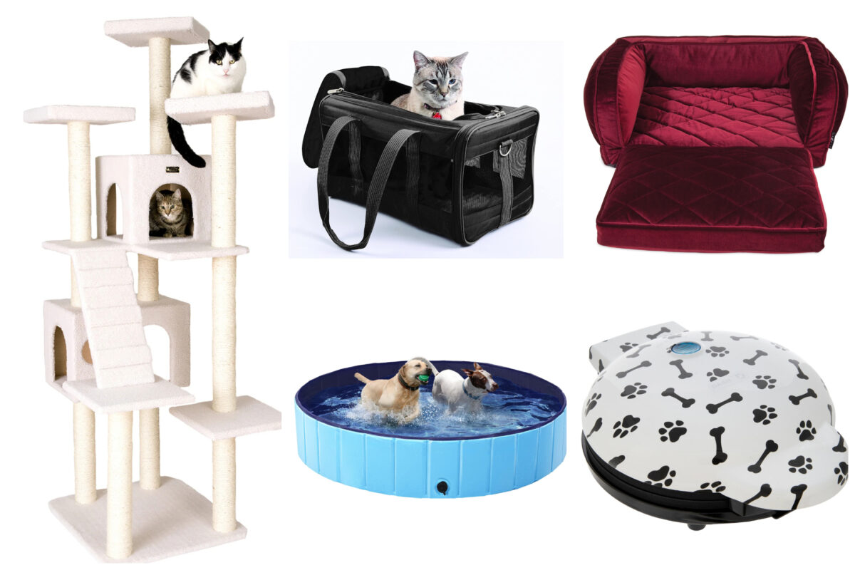 NextImg:Posh Pets