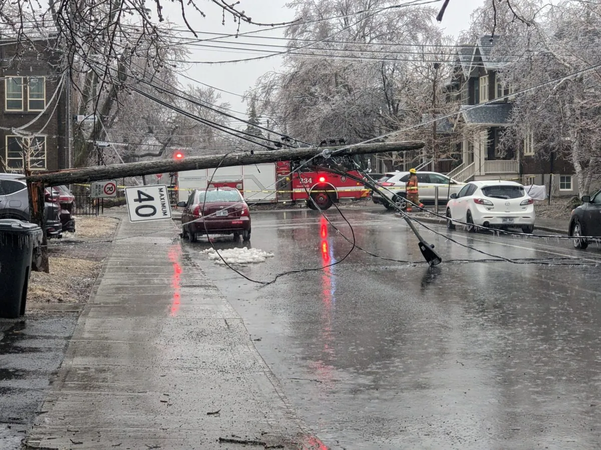 The damage following an ice storm in Montreal on April 5, 2023, in this image obtained from social media. (Tony Salador via Reuters)