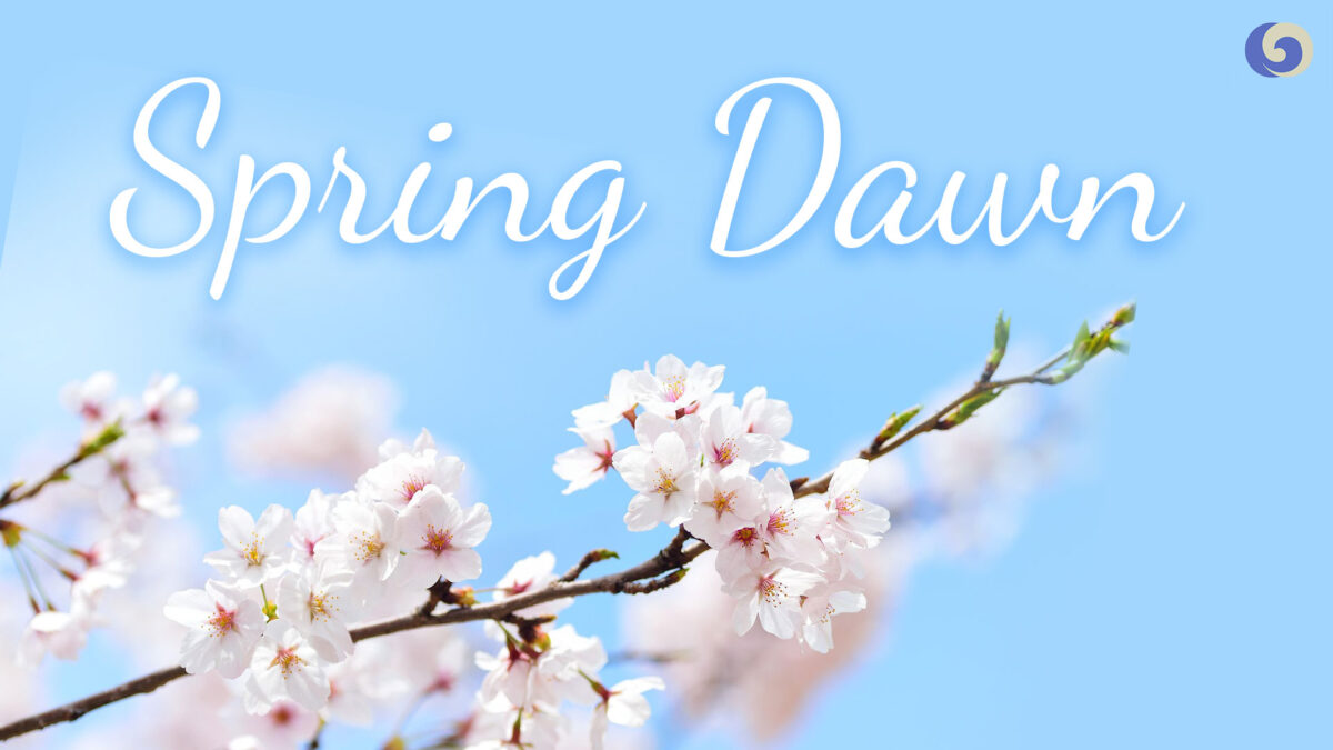 NextImg:Peaceful Pipa Music 'Spring Dawn': Spring Returns to the Earth, All Things Are Renewed｜Musical Moments