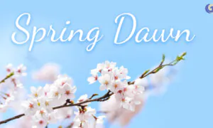 Peaceful Pipa Music ‘Spring Dawn’: Spring Returns to the Earth, All Things Are Renewed｜Musical Moments