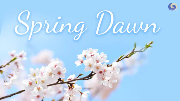 Peaceful Pipa Music ‘Spring Dawn’: Spring Returns to the Earth, All Things Are Renewed｜Musical Moments