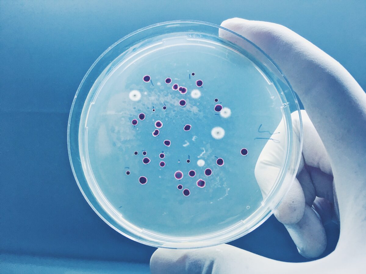 NextImg:The E. Coli Super-Pathogens You Should Know About