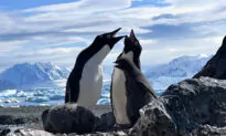 Epic Bucket-List Adventures