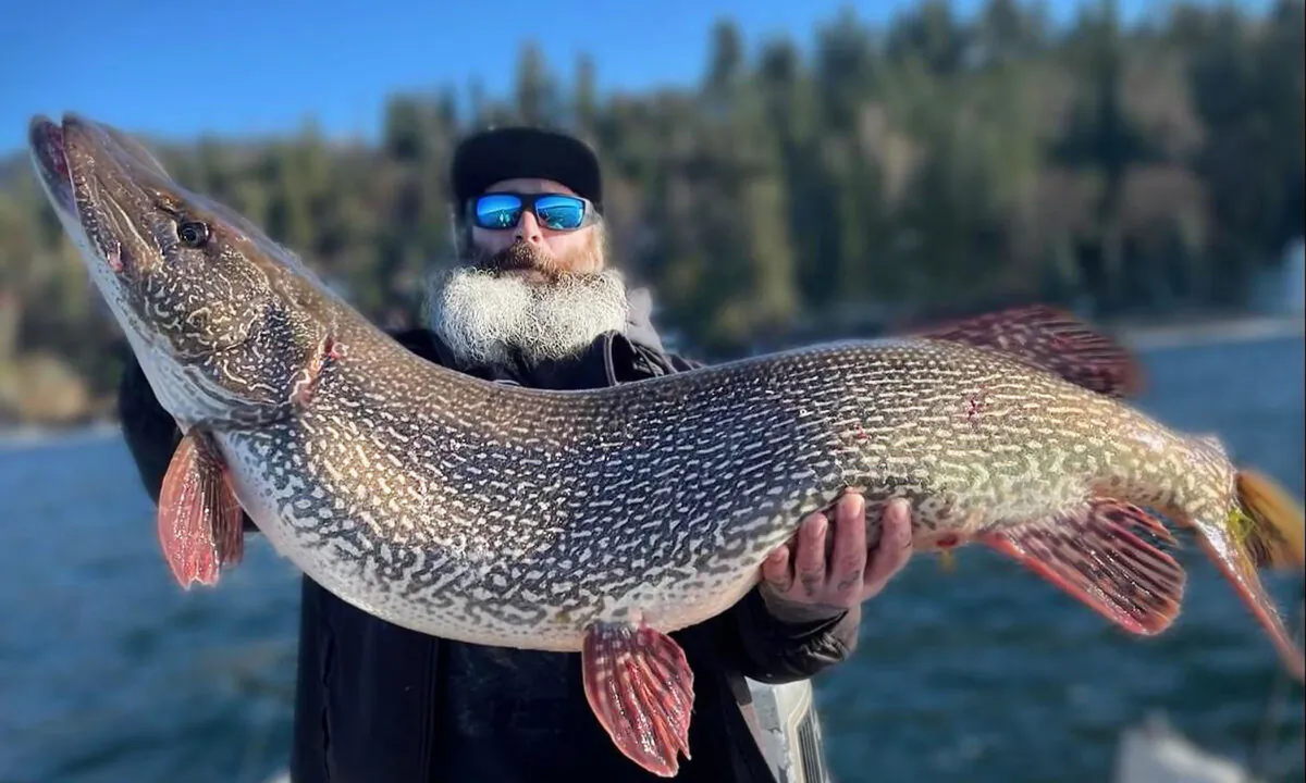 (Courtesy of Thomas Francis via Idaho Fish and Game)