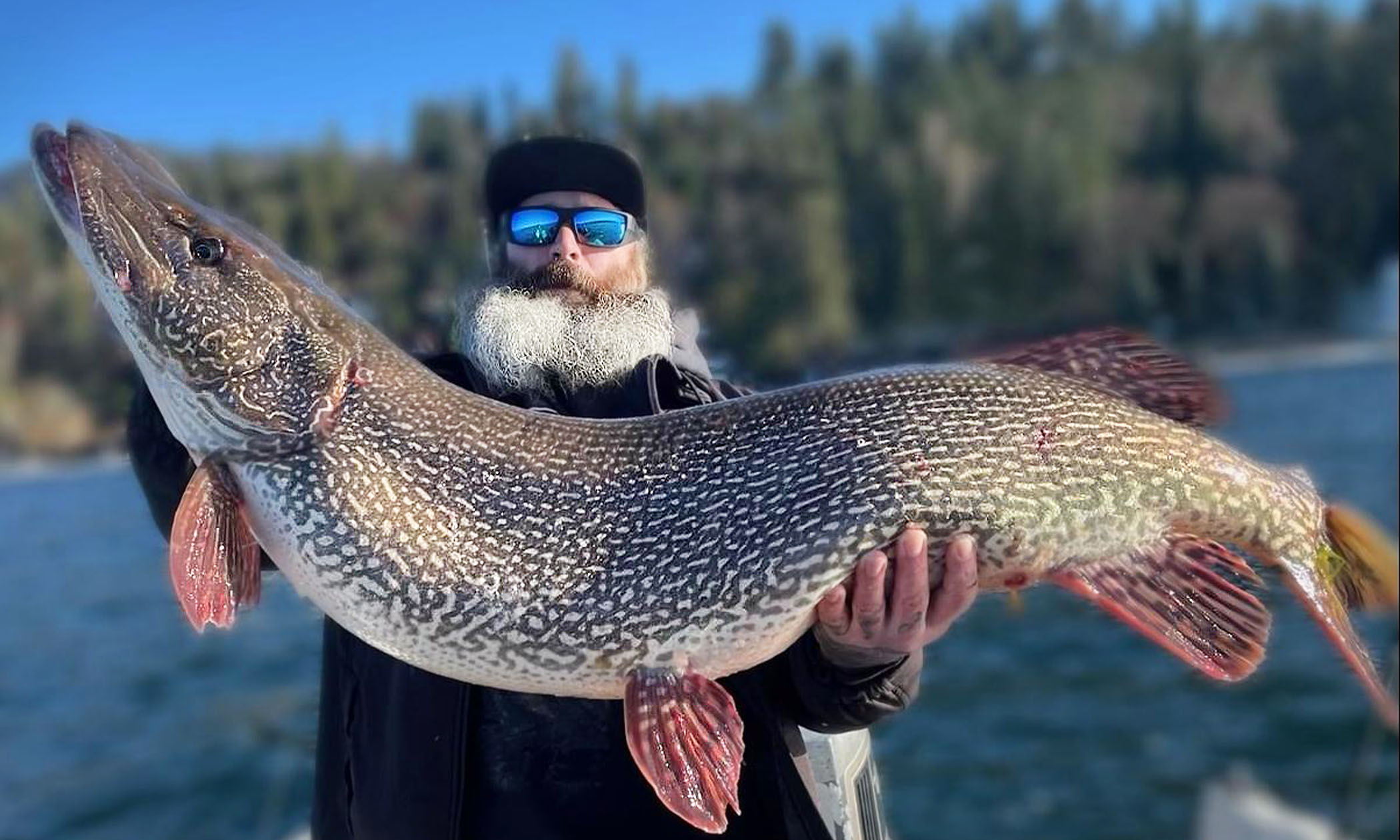 We Needed a Bigger Scale': Idaho Angler Reels In Monster Pike Weighing Over  40 Pounds for State Record