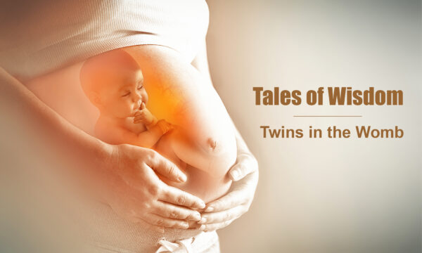 'Do You Believe in Life After Birth?': A Tale of Twins in the Womb