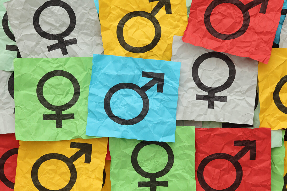 NextImg:Barbara Kay: Gender Ideologues Trying to ‘Cancel’ Objective Research on Dysphoria, Transitioning