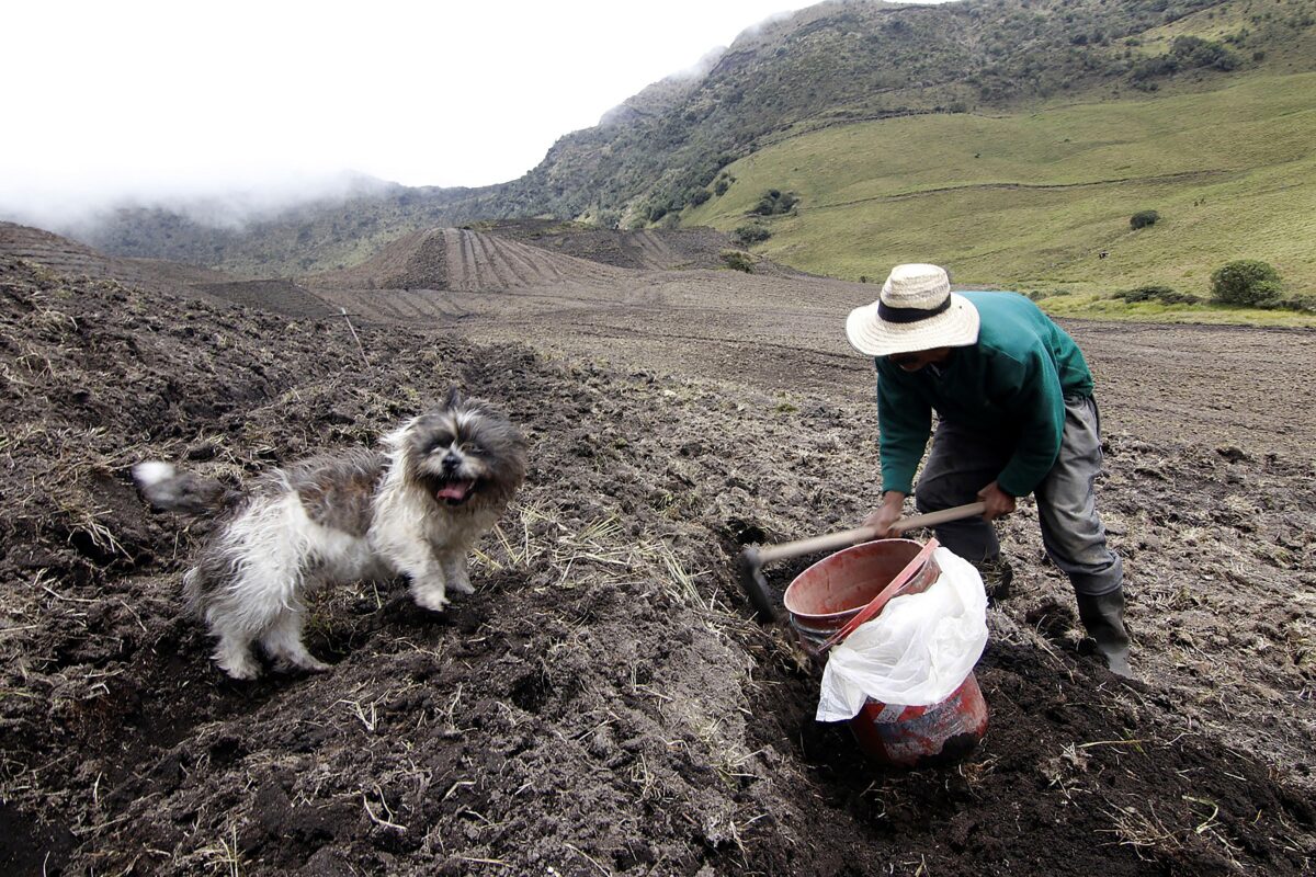 NextImg:Some People Living Near Colombian Volcano Are Loath to Evacuate