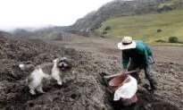 Some People Living Near Colombian Volcano Are Loath to Evacuate