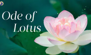 ‘Ode of Lotus’: A Crisp and Refined Flute Sound Touches the Soul | Chinese Music | Musical Moments