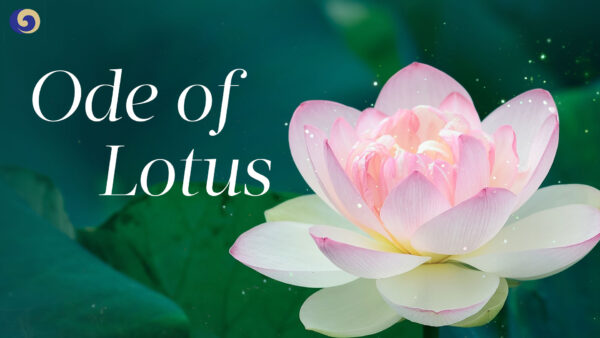 'Ode of Lotus': A Crisp and Refined Flute Sound Touches the Soul | Chinese Music | Musical Moments