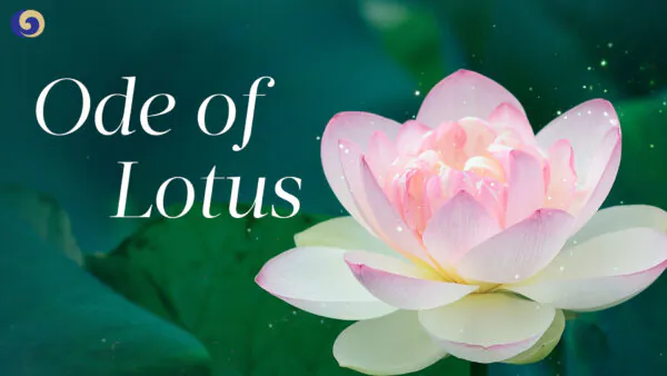 ‘Ode of Lotus’: A Crisp and Refined Flute Sound Touches the Soul | Chinese Music | Musical Moments