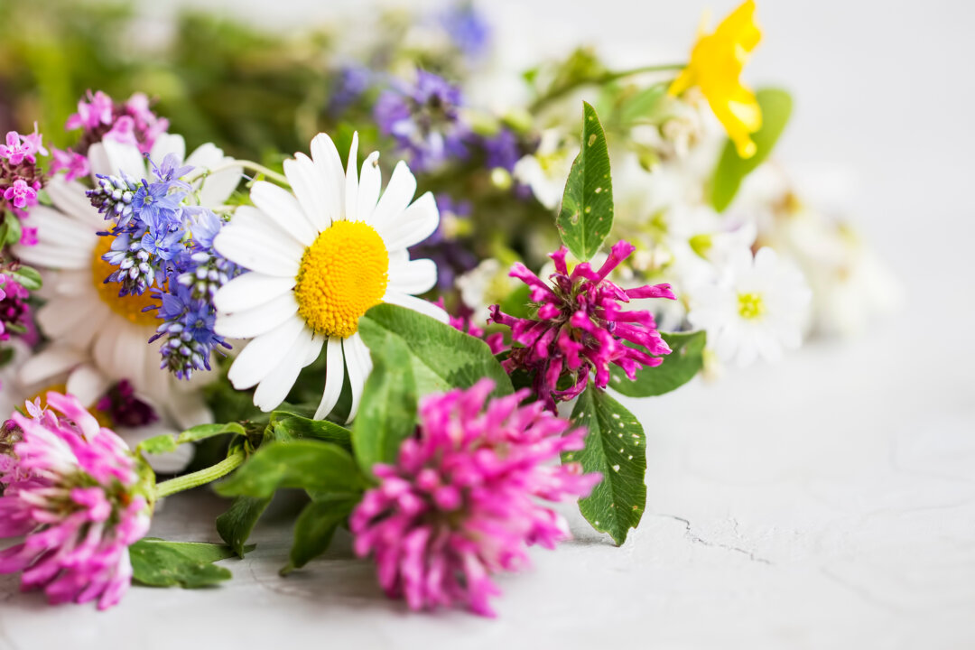 (catalina.m/Shutterstock)
