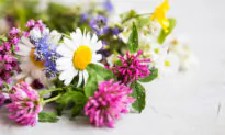10 Natural Substances for Type 1 Diabetes
