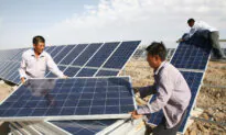 China’s Solar Industry Redesigned Itself Around US Forced Labor Law