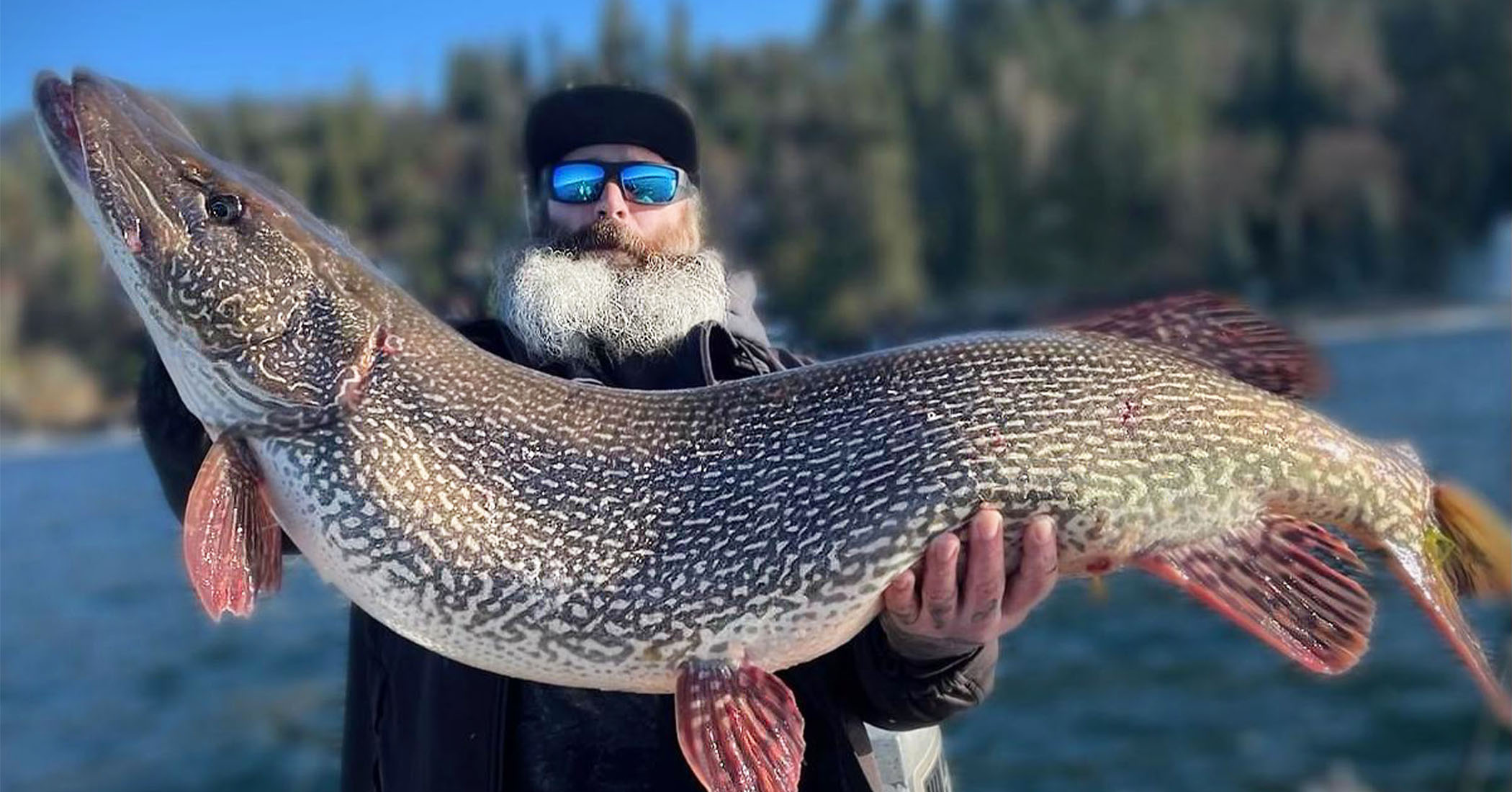 NextImg:‘We needed to find a bigger scale’: Idaho angler reels in monster pike weighing over 40 pounds for state record