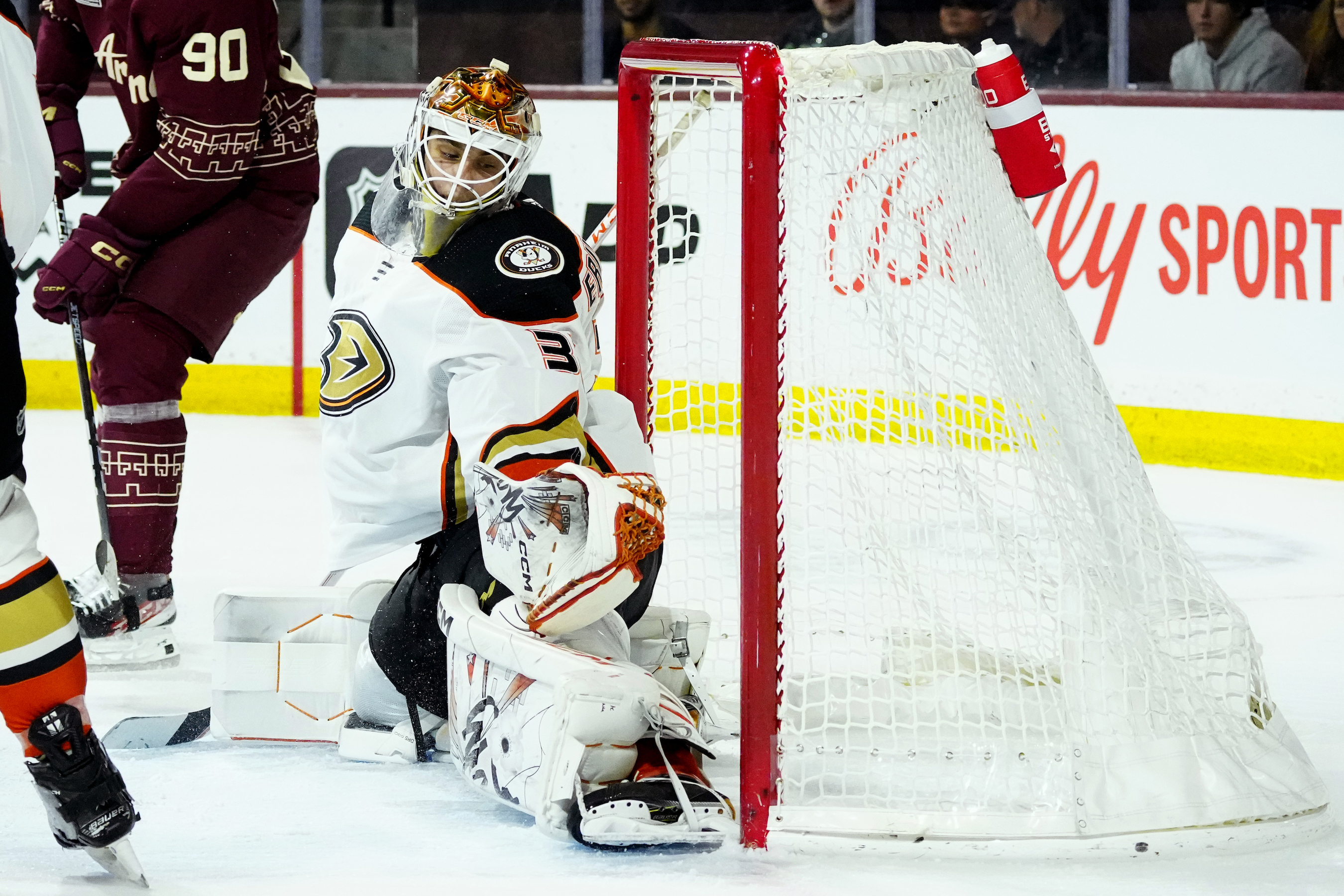 Coyotes Beat Ducks 5–4 in OT; 10th Straight Loss for Anaheim - Vimarsana News