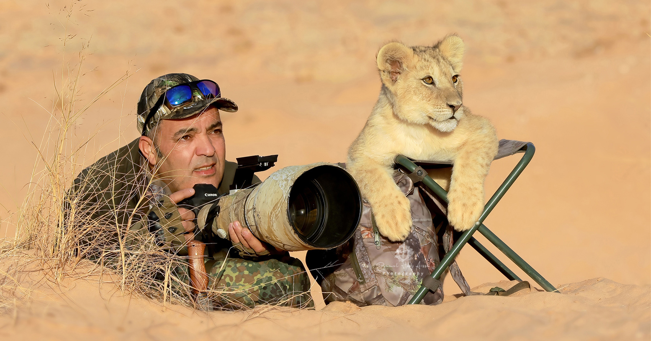 NextImg:Photographer is accompanied by an adorable ‘assistant’ while taking photos in the wild