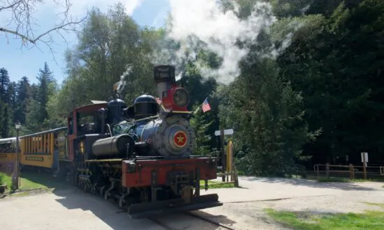 A Ride on Roaring Camp’s Redwood Train in Felton, California