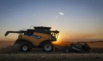 More Than 40% of Farm Operators to Retire by 2033: Report