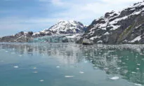 Kayaking Among Whales and Bears in Alaska’s Glacier Bay National Park