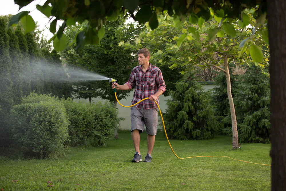 Avoid the inefficiency of sprinklers by using a hose or watering can to spot-water each plant as needed. (Budimir Jevtic/Shutterstock)